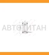 ��������� ������� ������ | ����� | WB1081 ����
