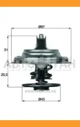 ��������� Iveco EuroCorgo 150E,170E,320E 92 Knecht-Mahle TX2379D TX2379D ����