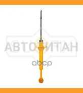 ����������� | ��� ����/��� | SA1543 ����