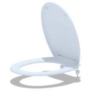 ������� ��� ������� (WS0100) ����