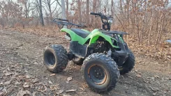 Grizzly 125. ��������, ��� ���\���, �� ����