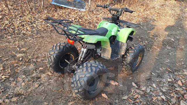 Grizzly 125. ��������, ��� ���\���, �� ����