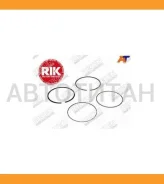 ������ ��������� (��������) 0,50 Mitsubishi Outlander 4B12 06- Riken 20095050 20095050 ����