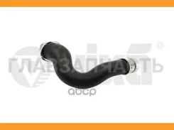 �������� ������ � ��������� Vika 11451818101 11451818101 ����