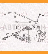 ������ ������������� ��������� | ����� | TEF1151 ����
