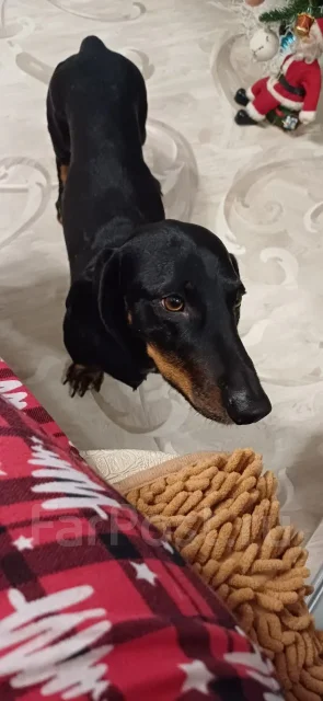 �����. ����