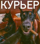 ������. ��� "������ ���". �������� ��������� 88, ������� 46 ����