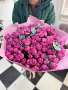 ����. ����