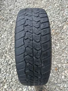 Dunlop Graspic HS-1. ������, ��� �����, 2007 ���, �/�, ����� 40 %. ��������� ����
