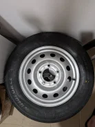 Windforce Mile Max. ������, 2025 ���, �����. �������� ������� ����