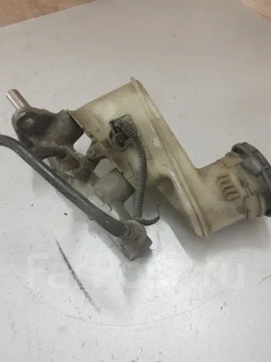 ������� ������� ��������� ����