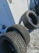 Fedima Wrangler. ������, ��� �����, 2025 ���, ����� ����