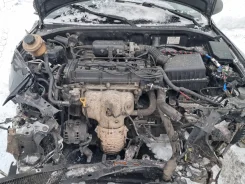 Hyundai Accent ����