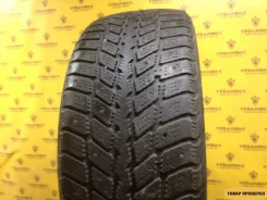Nexen Winguard 231