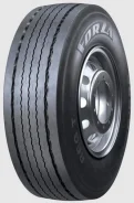 ���� Forza REG T