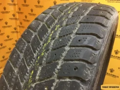 Nexen Winguard 231