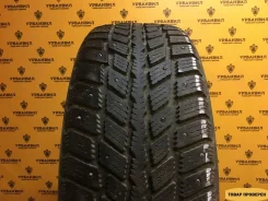 Nexen Winguard 231