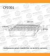 ������ �������� Avantech CF0301 ����