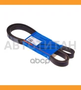 ������ ������������ Avantech 6PK2055 ����