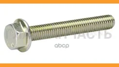 ���� M8x1.25x63 10.9 DAF 1313120 ����