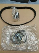 �������� ��� � ������� ������� Gates KP25535XS KP25535XS ����