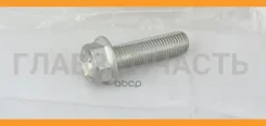 ���� 9010510388 ����