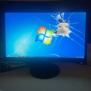 Philips. 24", ���������� �� (LCD, LED, QLED) ����