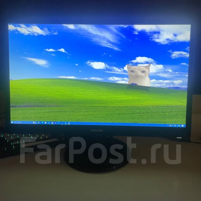 Philips. 24", ���������� �� (LCD, LED, QLED) ����