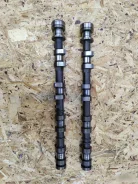 ���������� Ford C-Max 2007-2011 1.4 ����