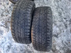 Glede Himalaya G39. ������, ��� �����, 2024 ���, �/�, ����� 40 % ����