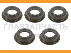 ������� 25x40x15 �������� ��� ZF Euroricambi 95534999 95534999 ����