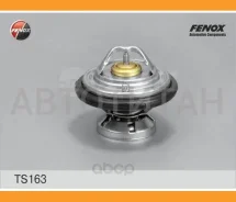��������� (+80�C) Mercedes-Benz W201, W202 2.5D 88-01, W124 2.5-3.0D 88-95, W210 2.5-3.0 96-99, W140 3.0-3.5D 93-98 TS163 ����