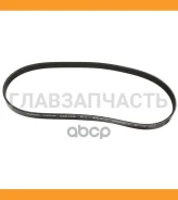 ������ ������������ PY0115909A ����