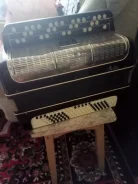 �����. ����