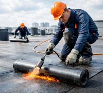 ����������. ��� "��� ������". ����������� ����