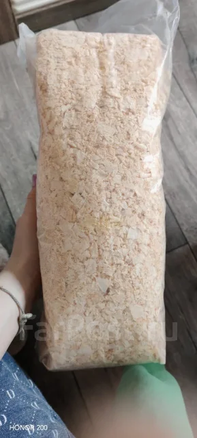 ������. ����