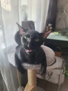 ������������ �����. ����