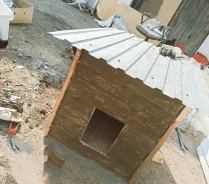 �����. ��� ����� �� ���������� ����