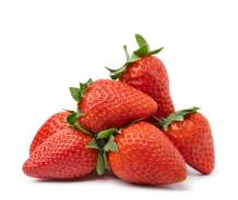 ��������. �� ������. �������� �������� ������� 164 ����