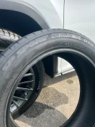 Dunlop e.Sport Maxx. ������, 2019 ���, �/�, ����� 40 % ����