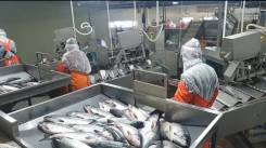 ��������������. ��� "������ �������". ���������� ���� ����������� ����� �. �������� ������ ������� ���� ����� ����