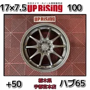 RAYS Volk Racing CE28N