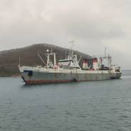 ������ �� ������ ����. ��� �������������� ���� ��������� �����". ����� ����������� 51� ����