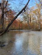 �������� �� ���������. ��� "����� �������". ���������� ����, ���������� �����, ����������, ����� ������������ 1� ����