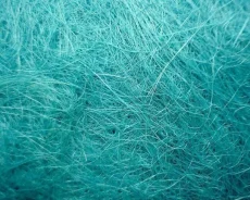 ������ � ����� 100�� �� �10 ��������� ����