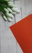 ���� ����� 1�� 20*30�� �. ���������, 1�� ����