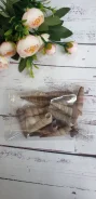 ����� ������� Turritella terebra, �����, 4,5-6��, 95�� ����