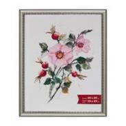 ����� "Gamma" ���-17 40*50�� �������. � ���������� ����