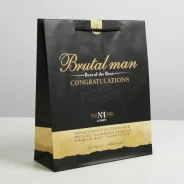 ����� ���������� ��������������, Best of the best, ML 21*25*8�� ����