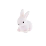 ������ ����� 1,9*2,1�� ����